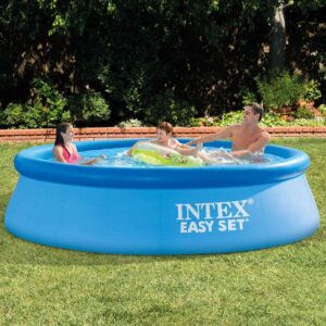 INTEX 28120EH 10ft x 30in Easy Set Pool